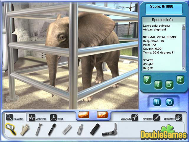 zoo vet 2 endangered animals 4 big jpg